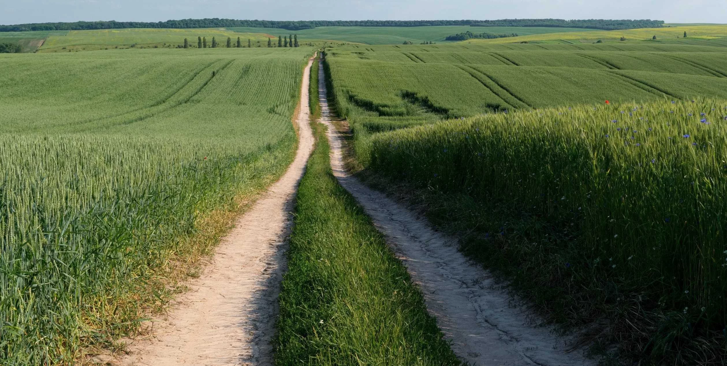 Ponad 5 milionów złotych dla samorządów w powiecie kłodzkim na drogi dojazdowe do gruntów rolnych