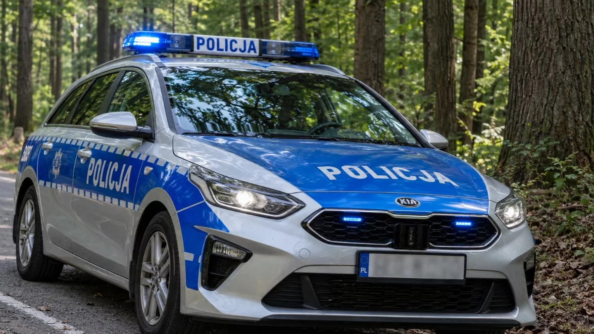 74-latka zaginęła podczas grzybobrania koło Batorowa. Ruszyły poszukiwania, pomógł przypadkowy kierowca