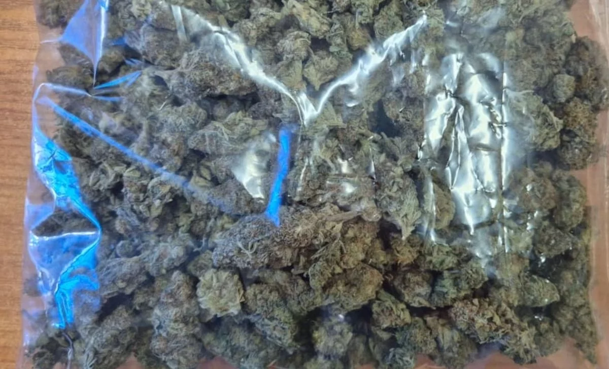 Powiat Kłodzki. Policja w mieszkaniu znalazła 205 gramów narkotyków