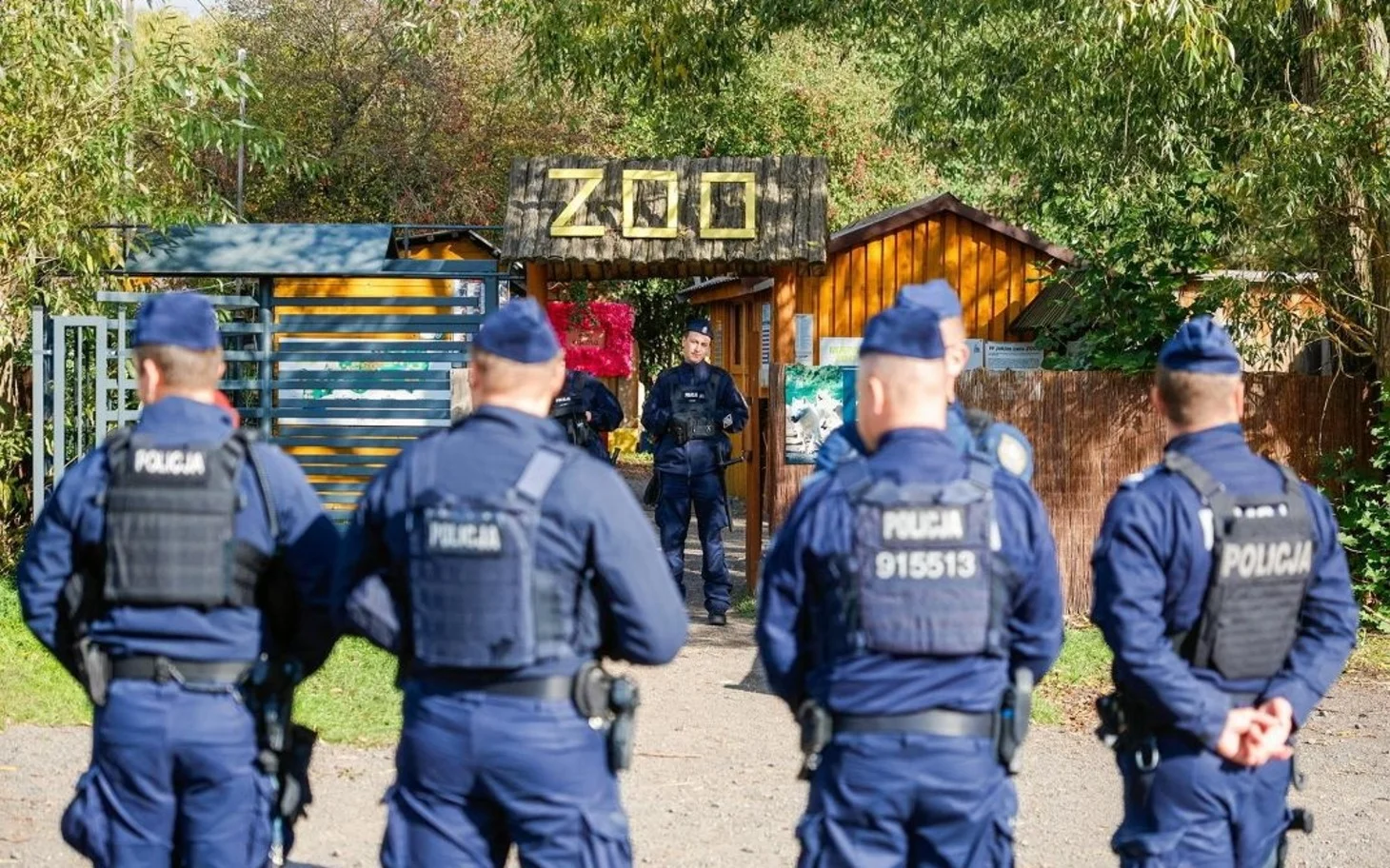 Zbiórka ZOO Łączna – gdzie wpłacić pieniądze? Link do zbiórki. O co chodzi z ZOO Łączna?
