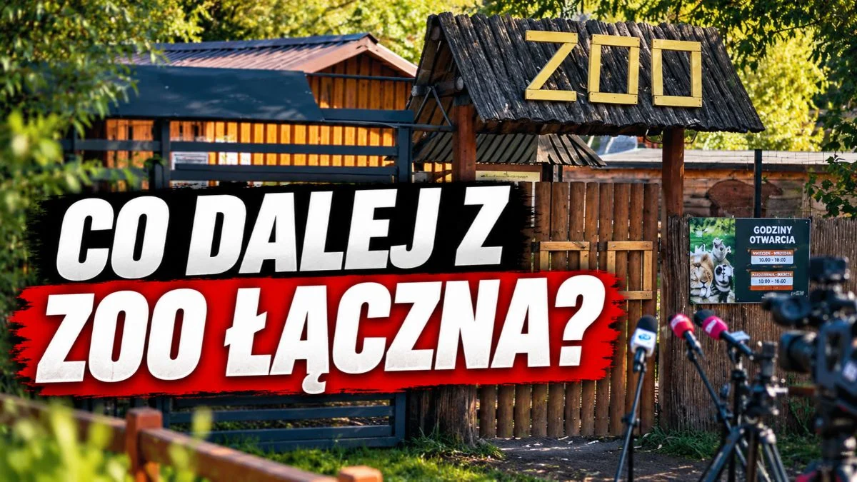 Co dalej z ZOO Łączna? Nowy prokurator, petycja, ponad 600 tys. zł ze zbiórki i pytania o przyszłość ogrodu