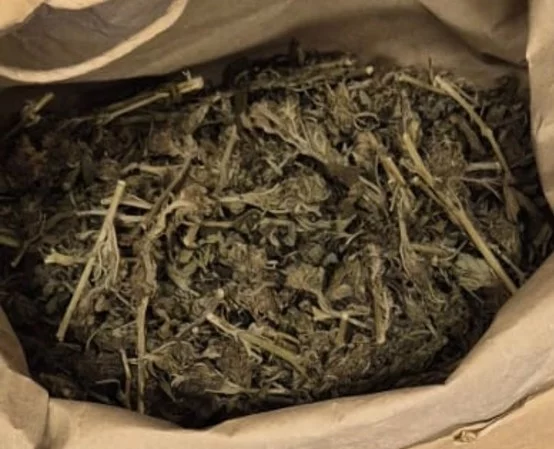 Policjanci z Nowej Rudy zabezpieczyli pół kilograma marihuany