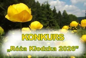 Róża Kłodzka 2026 – starostwo czeka na zgłoszenia