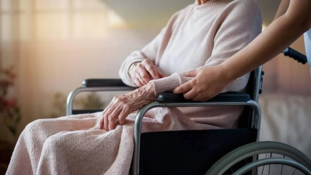 Orzeczenia i pieniądze