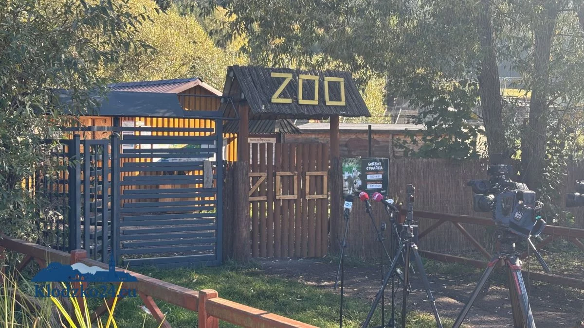 ZOO Łączna. Martwy ptak, powrót pracowników i nowe decyzje. Co dalej z ogrodem?