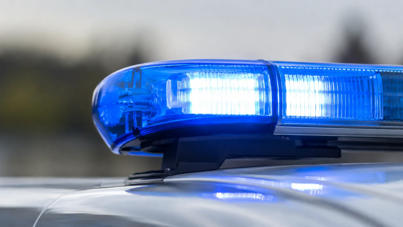 Powiat ząbkowicki. Cztery zdarzenia w kilka godzin. Volvo w rzece, zderzenia z dzikiem i sarną