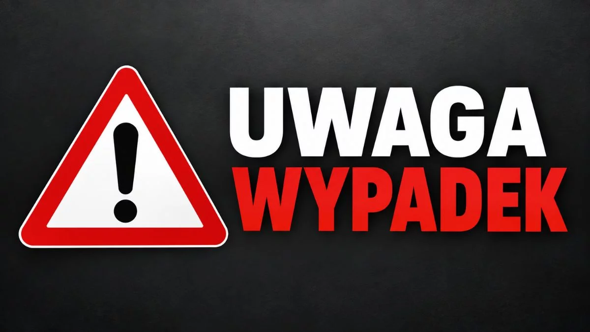 Audi wjechało do rowu na ul. Paczkowskiej. Kierowca miał stracić przytomność. KAMIENIEC ZĄBKOWICKI
