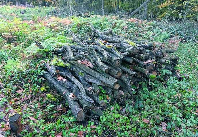 Drewno z własnym zaangażowaniem