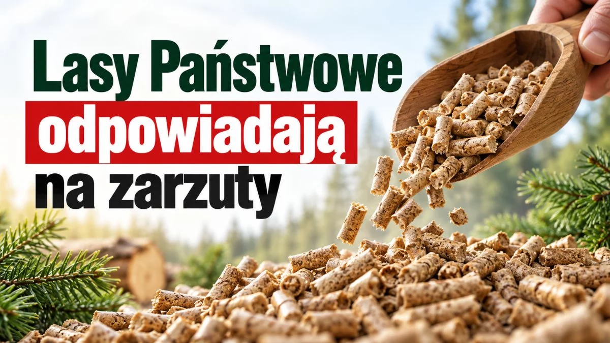 Dlaczego pellet tak podrożał? Lasy Państwowe wyjaśniają przyczyny wzrostu cen