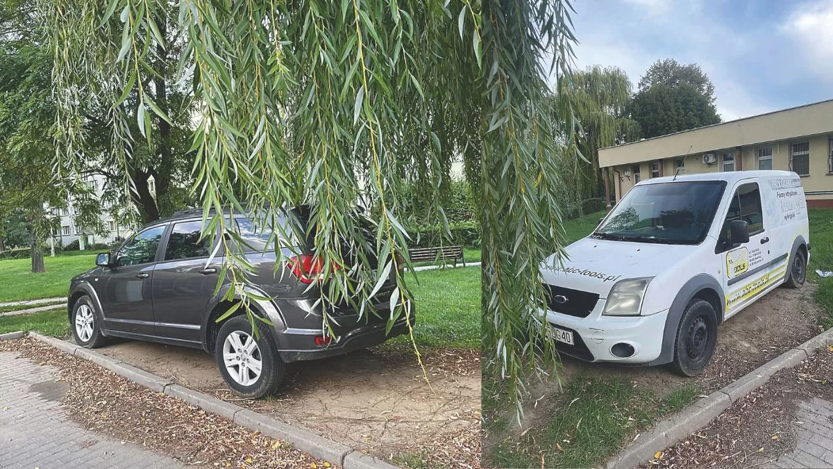 Ząbkowice Śląskie. Samochody parkują na trawnikach. Brakuje miejsc czy chęci do spaceru?
