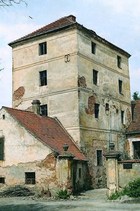 AI pokazuje dawny Zamek Ciepłowody