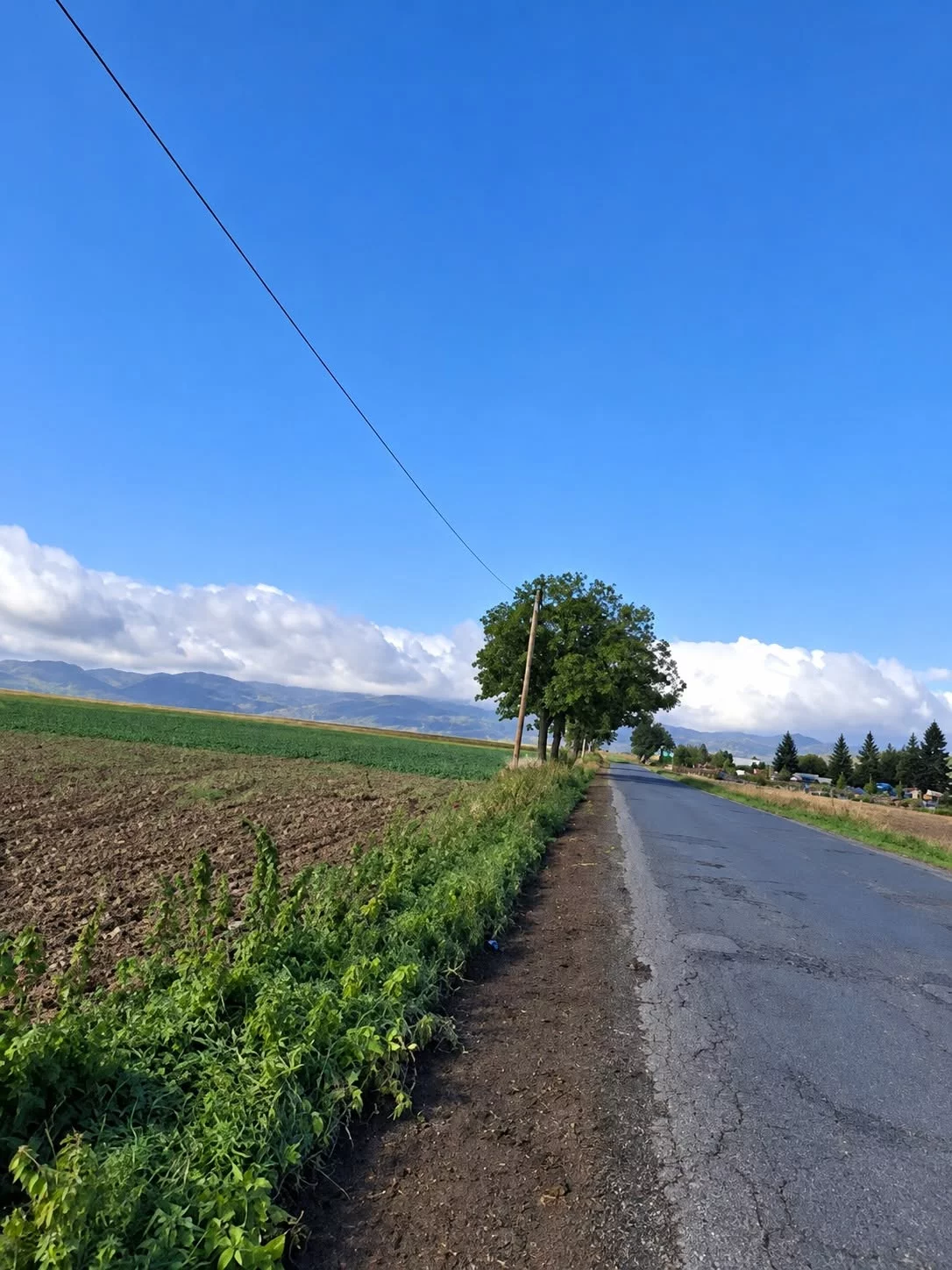 Ruszył remont drogi Lutomierz–Stoszowice. Inwestycja za ponad 1 mln zł