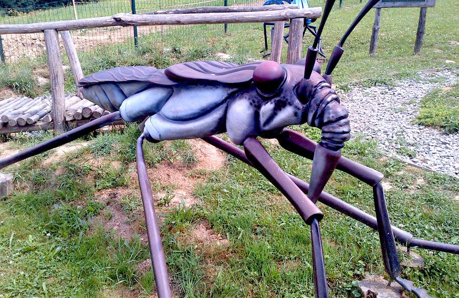 Park Owadów i Pajęczaków