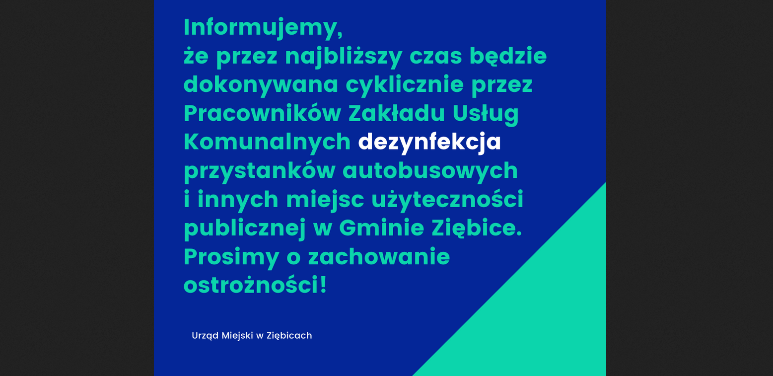 Jak Ziębice chronią mieszkańców? - Zdjęcie główne