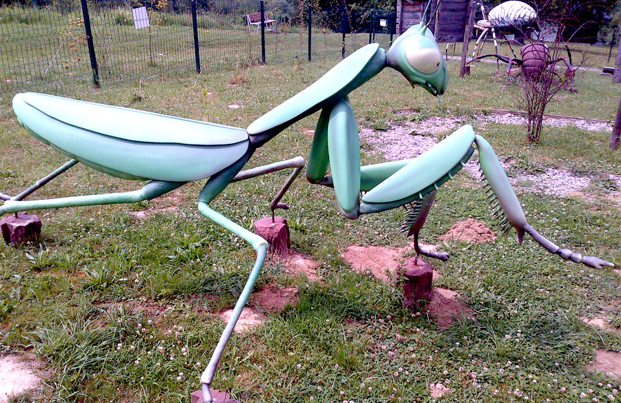 Park Owadów i Pajęczaków