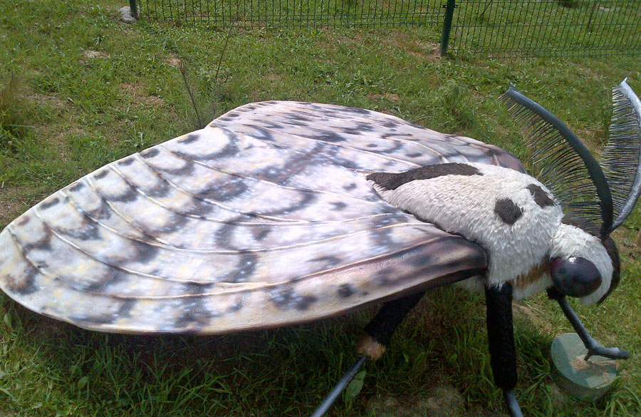Park Owadów i Pajęczaków
