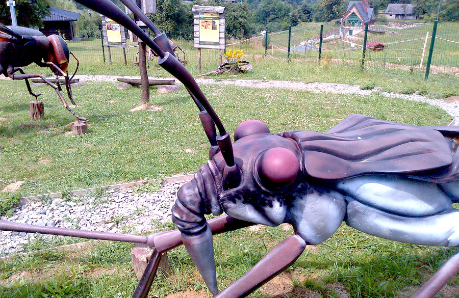 Park Owadów i Pajęczaków