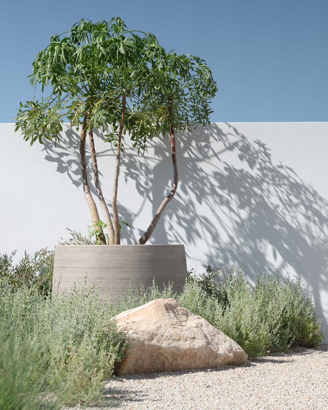 Minimalistischer Naturgarten mit mediterranem Flair