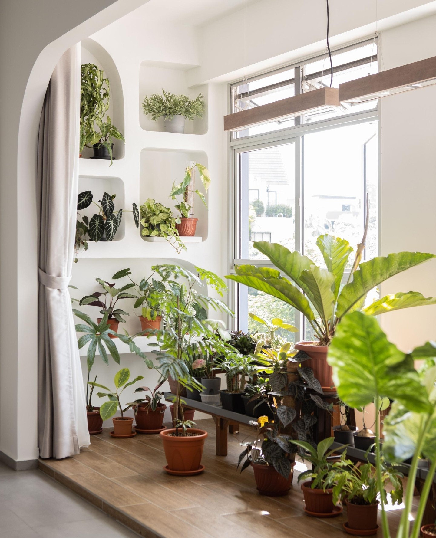 Ihr persönliches Urban Jungle Refugium: Wohnen im Grünen