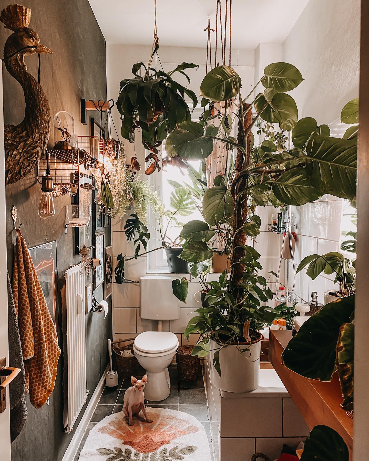 Badezimmer Oase: Dein persönlicher Urban Jungle