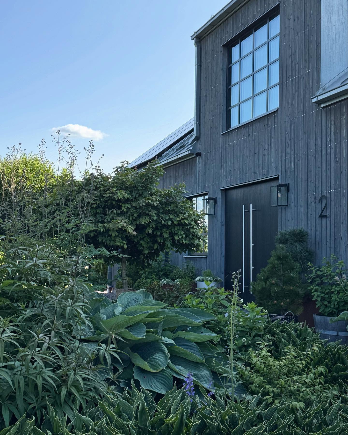 Minimalistisches Zuhause: So schaffst du eine moderne Holzfassade mit üppigem Garten