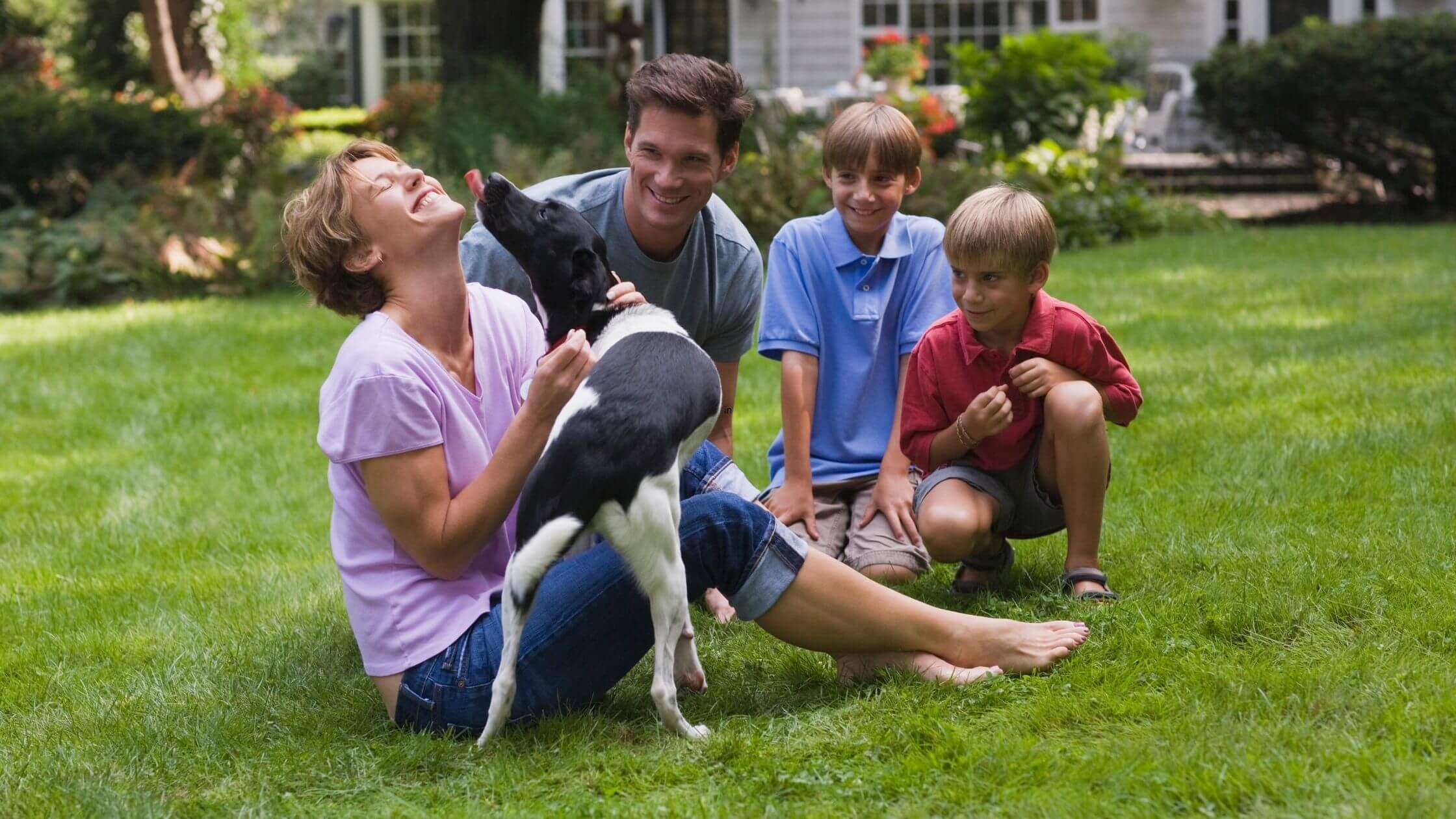 A family and their dog enjoy outdoor time on their lawn.