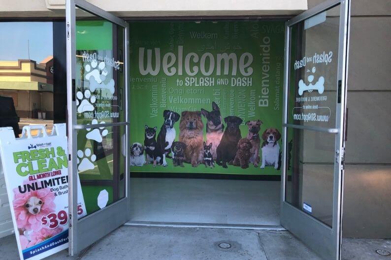 A welcoming view of the Splash and Dash pet franchise