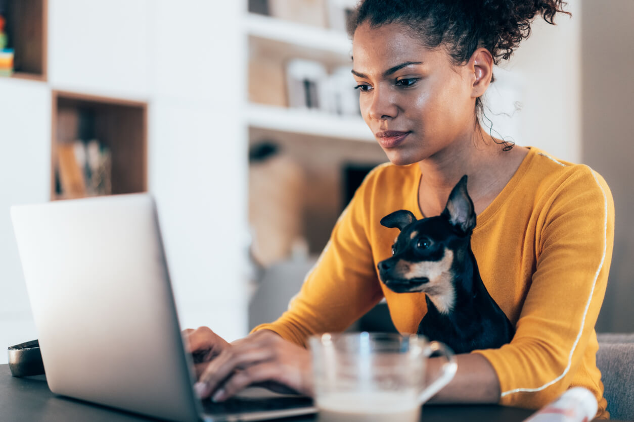 a dog sits on a woman's lap as she works on her laptop