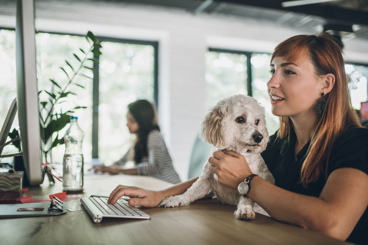 A dog helping his owner work