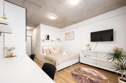 HUB 4.6