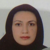 مترجم في طهران - Сузан 