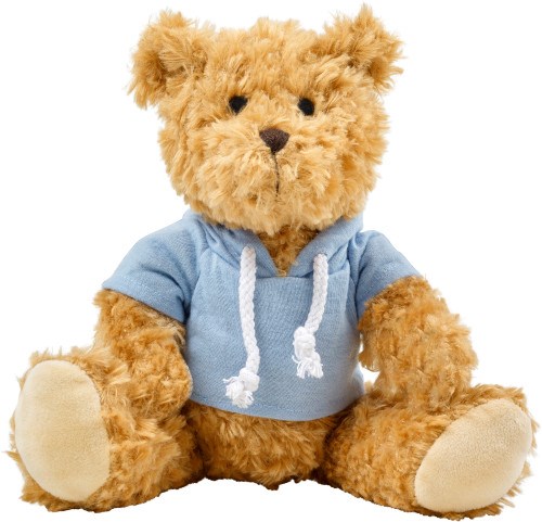 Pluche teddybeer