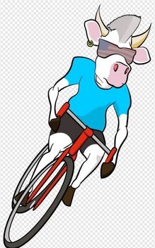 Winters NCNCA Masters District Championship Criterium