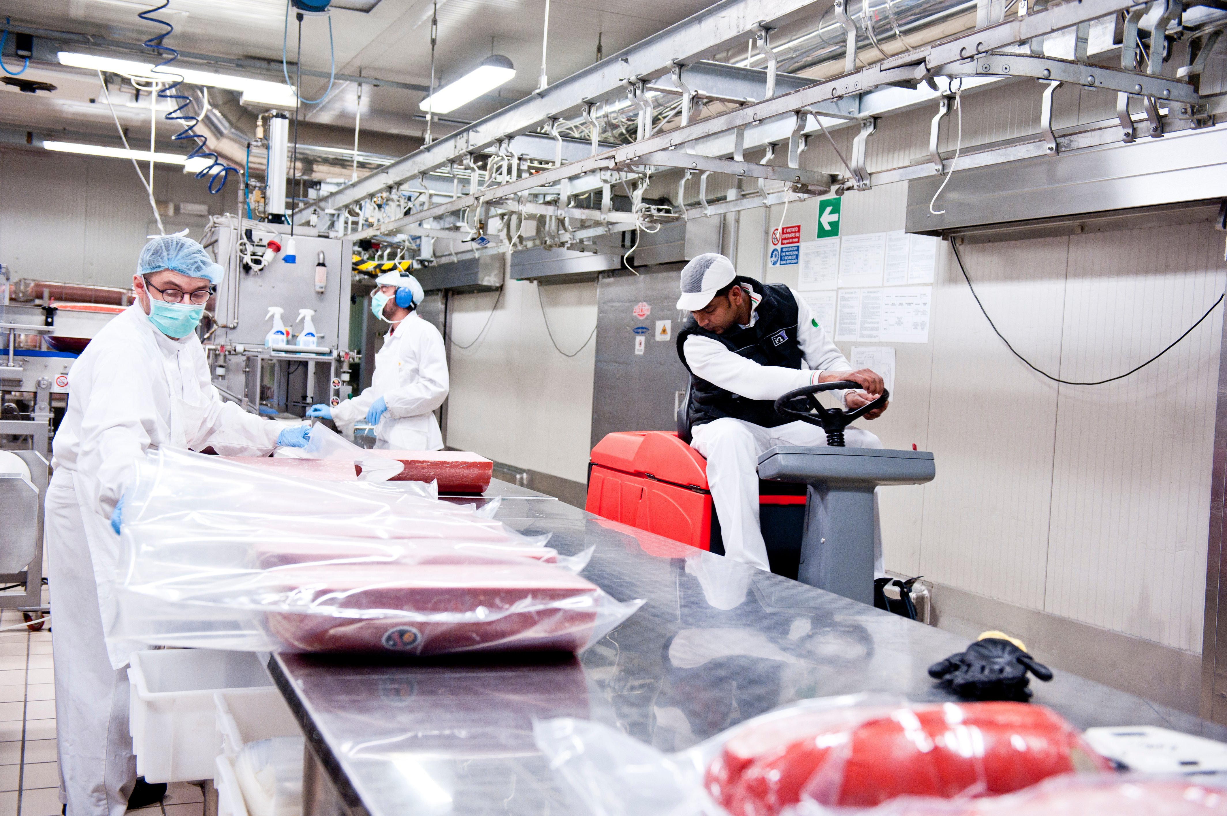 Lavoratori in un impianto di lavorazione della carne confezionano e spediscono prodotti.
