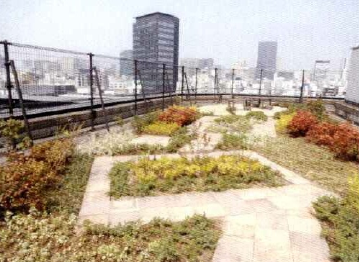 日本橋エリア居抜きオフィス