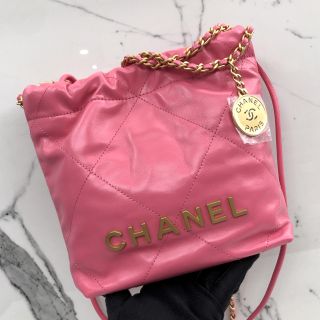 Mini Pink Chanel 22