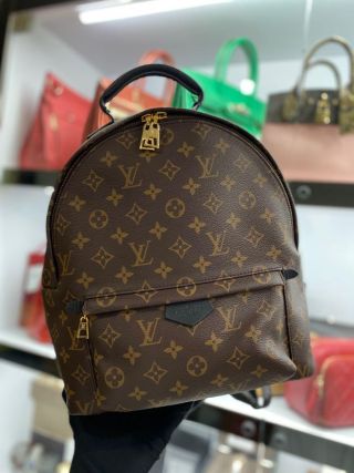 Louis Vuitton Palm Springs Backpack