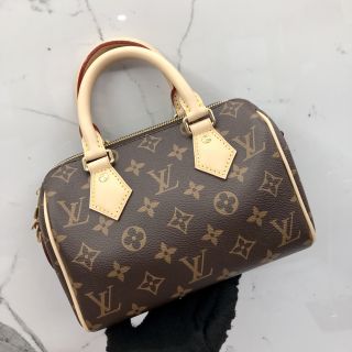 Louis Vuitton Speedy 20 Bag in Monogram