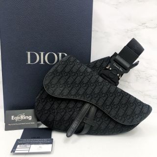 Dior Bag Other Saddle