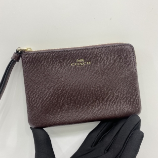 COACH F15154 POUCH SLG