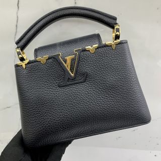 Louis Vuitton SLG Mini Capucines in Empreinte