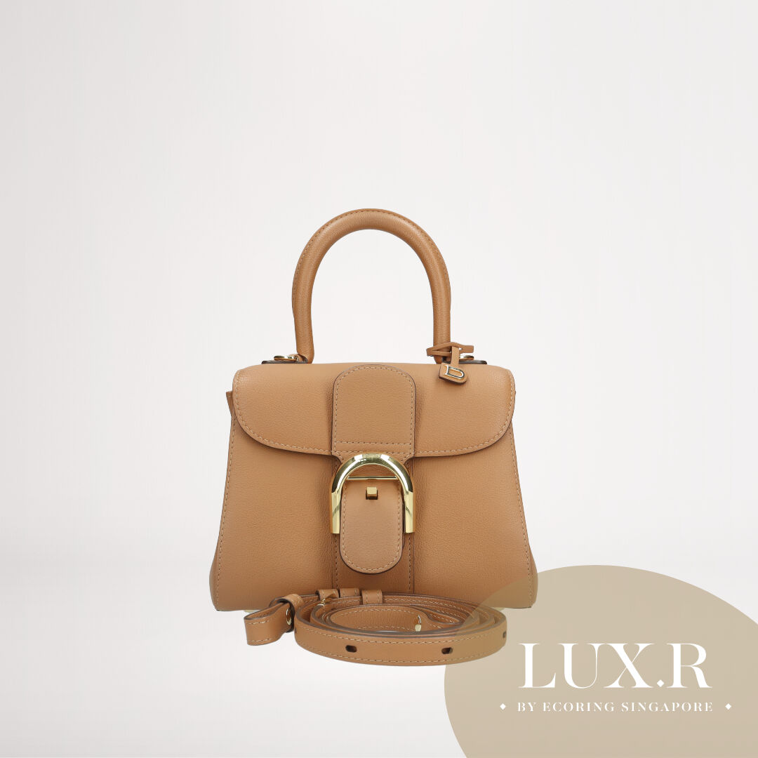 Delvaux Tempête Pm Leather Bag in Brown