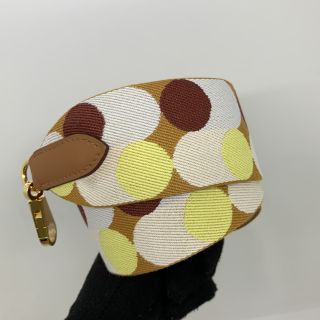 HERMES  CANVAS SHOULDER STRAP GHW