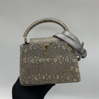 LOUIS VUITTON BAG CAPUCINES MINI IN OMBRÉ LIZARD ARGENTO S 58181