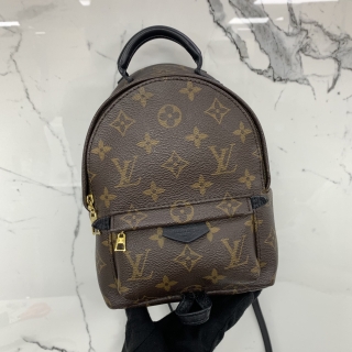 LOUIS VUITTON BAG MONOGRAM M41560 PALM SPRING OLD TYPE FL2129