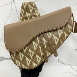 Dior Saddle Bag