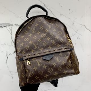 Louis Vuitton Palm Springs Graphite MM Bag