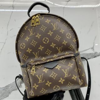 Louis Vuitton Palm Springs PM in Monogram