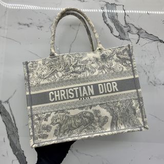 Dior Toile De Jouy Book Tote