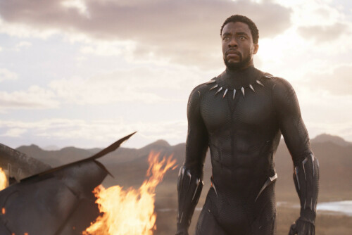 Panel : The Lasting Legacy of Chadwick Boseman and The Black Panther